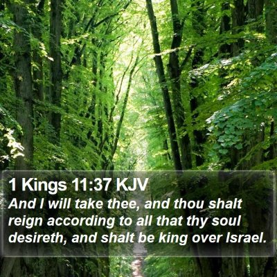 1 Kings 11:37 KJV Bible Verse Image