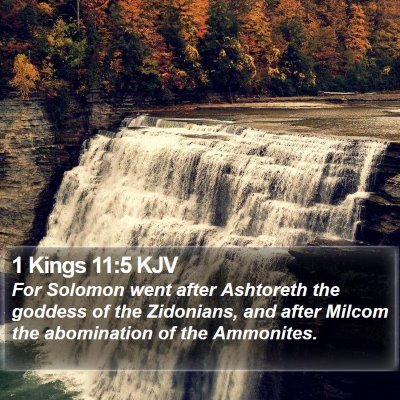 1 Kings 11:5 KJV Bible Verse Image