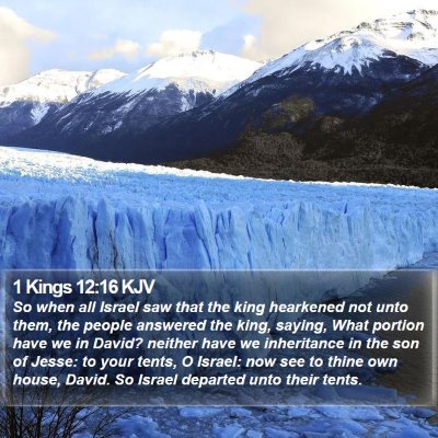 1 Kings 12:16 KJV Bible Verse Image