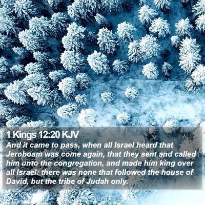 1 Kings 12:20 KJV Bible Verse Image