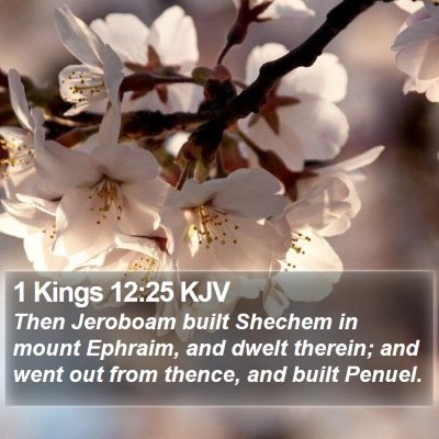 1 Kings 12:25 KJV Bible Verse Image