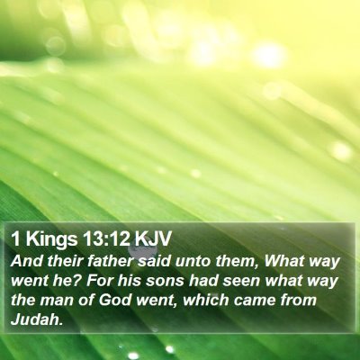 1 Kings 13:12 KJV Bible Verse Image
