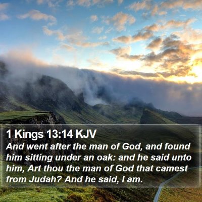 1 Kings 13:14 KJV Bible Verse Image