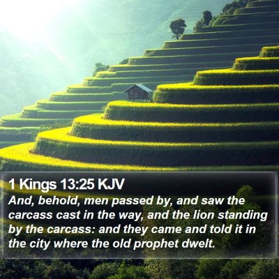 1 Kings 13:25 KJV Bible Verse Image