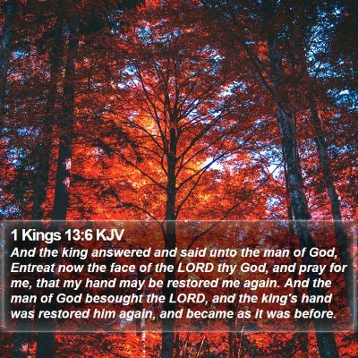 1 Kings 13:6 KJV Bible Verse Image