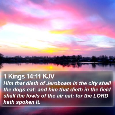 1 Kings 14:11 KJV Bible Verse Image