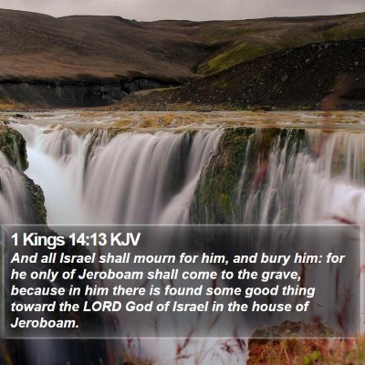 1 Kings 14:13 KJV Bible Verse Image
