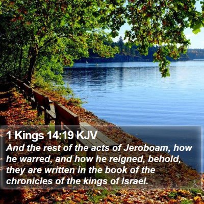 1 Kings 14:19 KJV Bible Verse Image