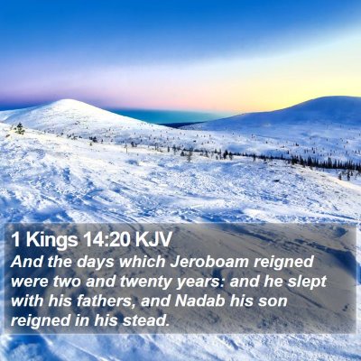 1 Kings 14:20 KJV Bible Verse Image
