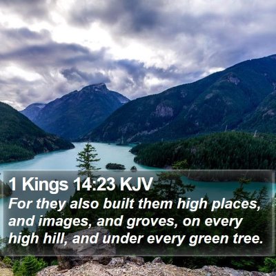 1 Kings 14:23 KJV Bible Verse Image