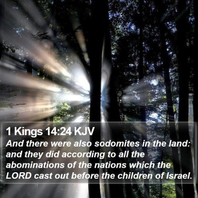 1 Kings 14:24 KJV Bible Verse Image