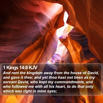 1 Kings 14:8 KJV Bible Verse Image