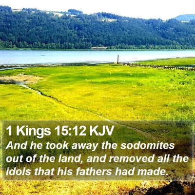 1 Kings 15:12 KJV Bible Verse Image