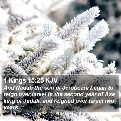 1 Kings 15:25 KJV Bible Verse Image