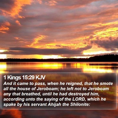 1 Kings 15:29 KJV Bible Verse Image