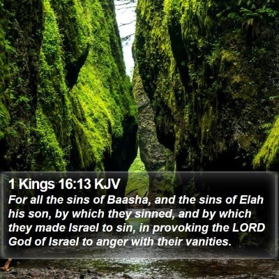 1 Kings 16:13 KJV Bible Verse Image