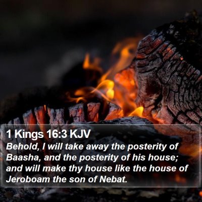 1 Kings 16:3 KJV Bible Verse Image