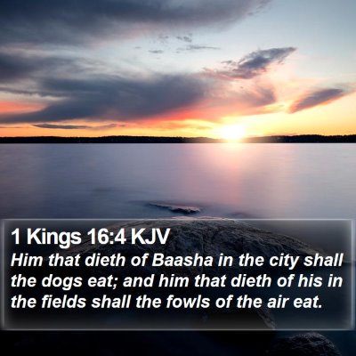 1 Kings 16:4 KJV Bible Verse Image