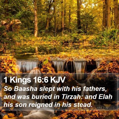 1 Kings 16:6 KJV Bible Verse Image