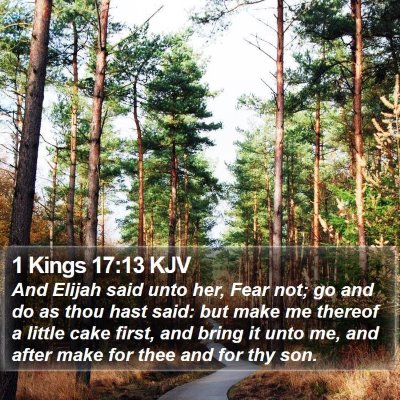 1 Kings 17:13 KJV Bible Verse Image