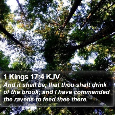 1 Kings 17:4 KJV Bible Verse Image