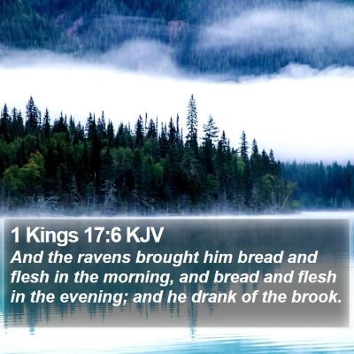 1 Kings 17:6 KJV Bible Verse Image