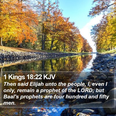 1 Kings 18:22 KJV Bible Verse Image