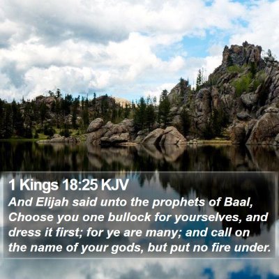 1 Kings 18:25 KJV Bible Verse Image
