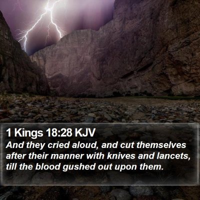 1 Kings 18:28 KJV Bible Verse Image