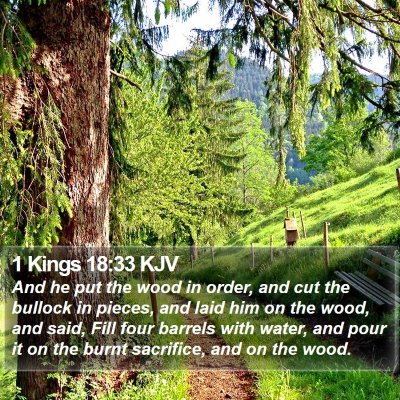 1 Kings 18:33 KJV Bible Verse Image