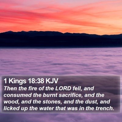 1 Kings 18:38 KJV Bible Verse Image