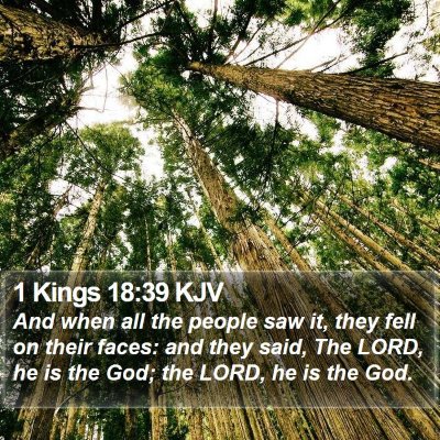 1 Kings 18:39 KJV Bible Verse Image