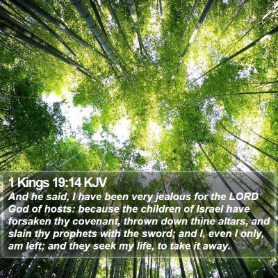 1 Kings 19:14 KJV Bible Verse Image