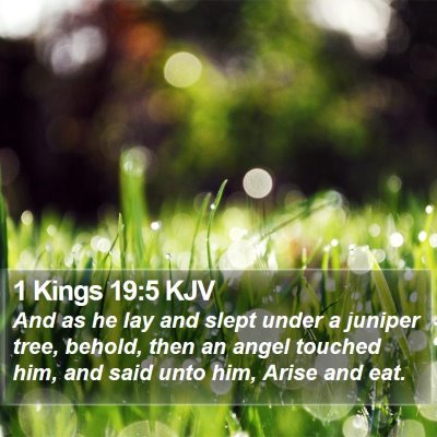 1 Kings 19:5 KJV Bible Verse Image