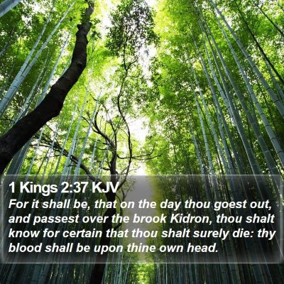 1 Kings 2:37 KJV Bible Verse Image