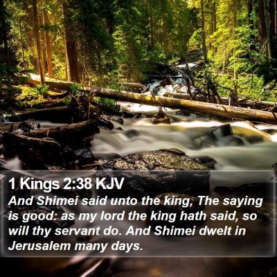 1 Kings 2:38 KJV Bible Verse Image