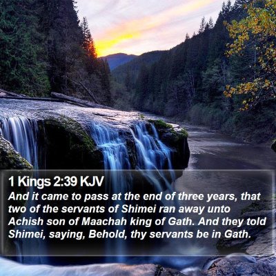 1 Kings 2:39 KJV Bible Verse Image