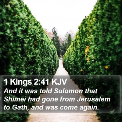 1 Kings 2:41 KJV Bible Verse Image
