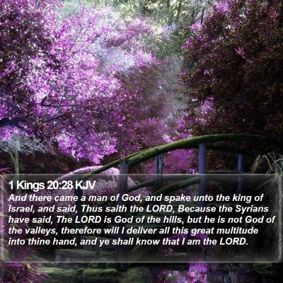 1 Kings 20:28 KJV Bible Verse Image