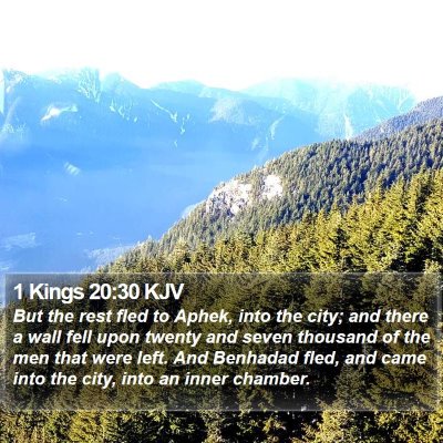1 Kings 20:30 KJV Bible Verse Image