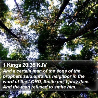 1 Kings 20:35 KJV Bible Verse Image