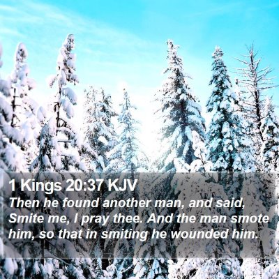 1 Kings 20:37 KJV Bible Verse Image