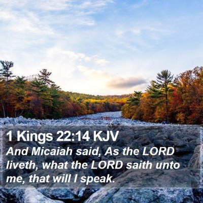 1 Kings 22:14 KJV Bible Verse Image