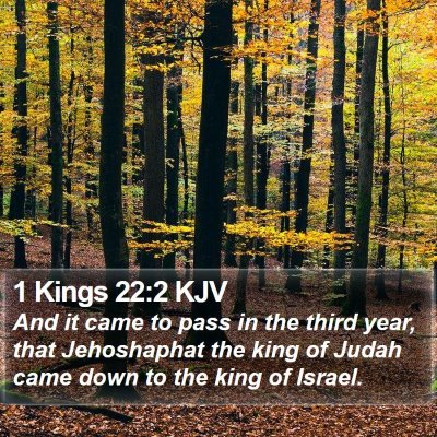 1 Kings 22:2 KJV Bible Verse Image
