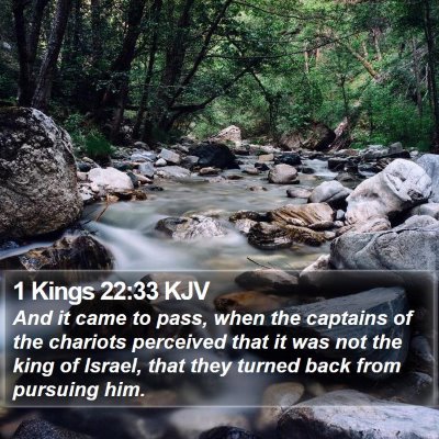 1 Kings 22:33 KJV Bible Verse Image