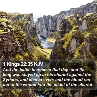 1 Kings 22:35 KJV Bible Verse Image