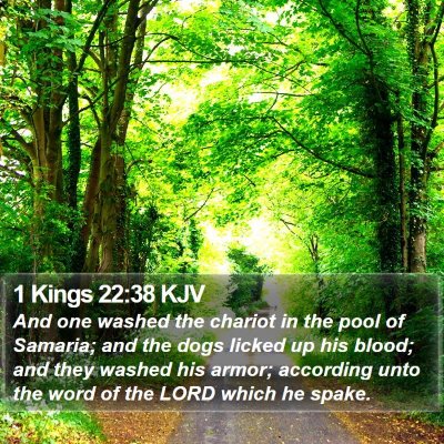 1 Kings 22:38 KJV Bible Verse Image