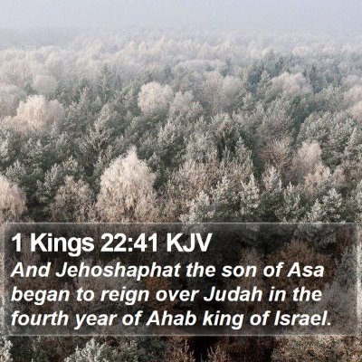1 Kings 22:41 KJV Bible Verse Image