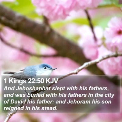 1 Kings 22:50 KJV Bible Verse Image