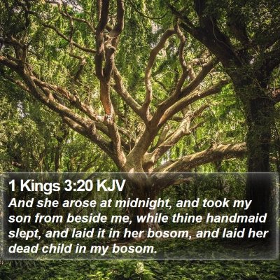 1 Kings 3:20 KJV Bible Verse Image